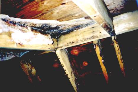 Mold growth on rafters in a high moisture environment